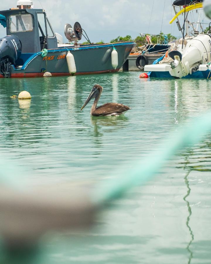 Evasion En Plein Coeur De La Ville T2 Jacuzzis Sauna Et Piscine Au Centre De Port-Louis Dış mekan fotoğraf